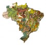 Brazil Digital Geologic Compilation.jpg